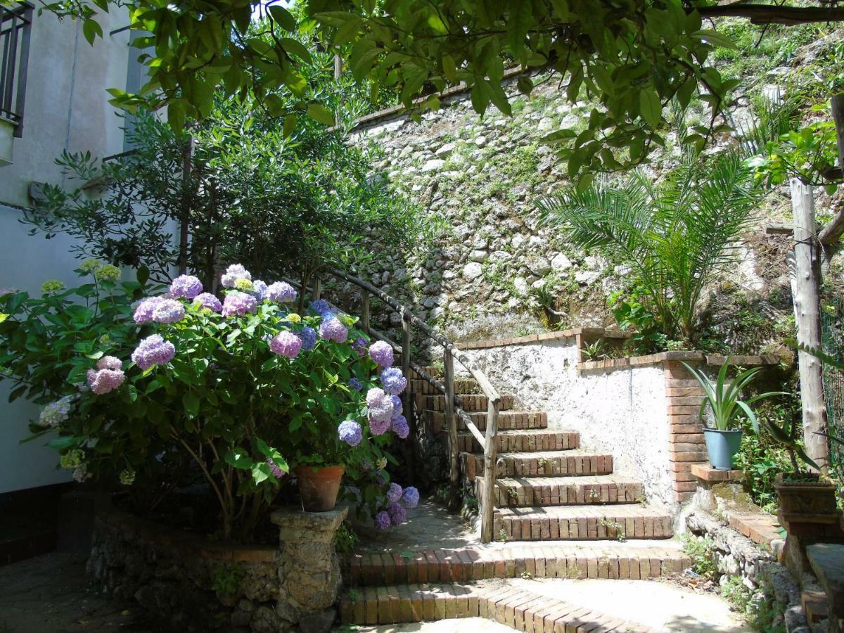 Antica Cartiera Sant'Elia Apartment Tramonti Exterior photo